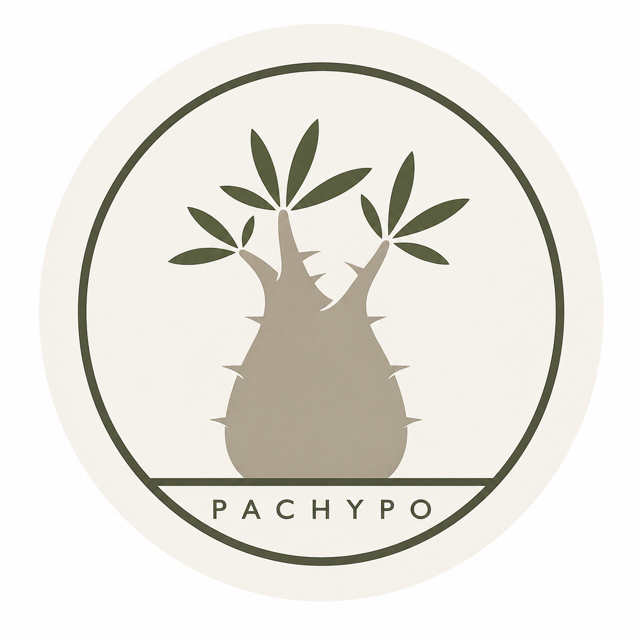 PACHYPO